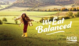 Campaign returns to promote dairy and red meat